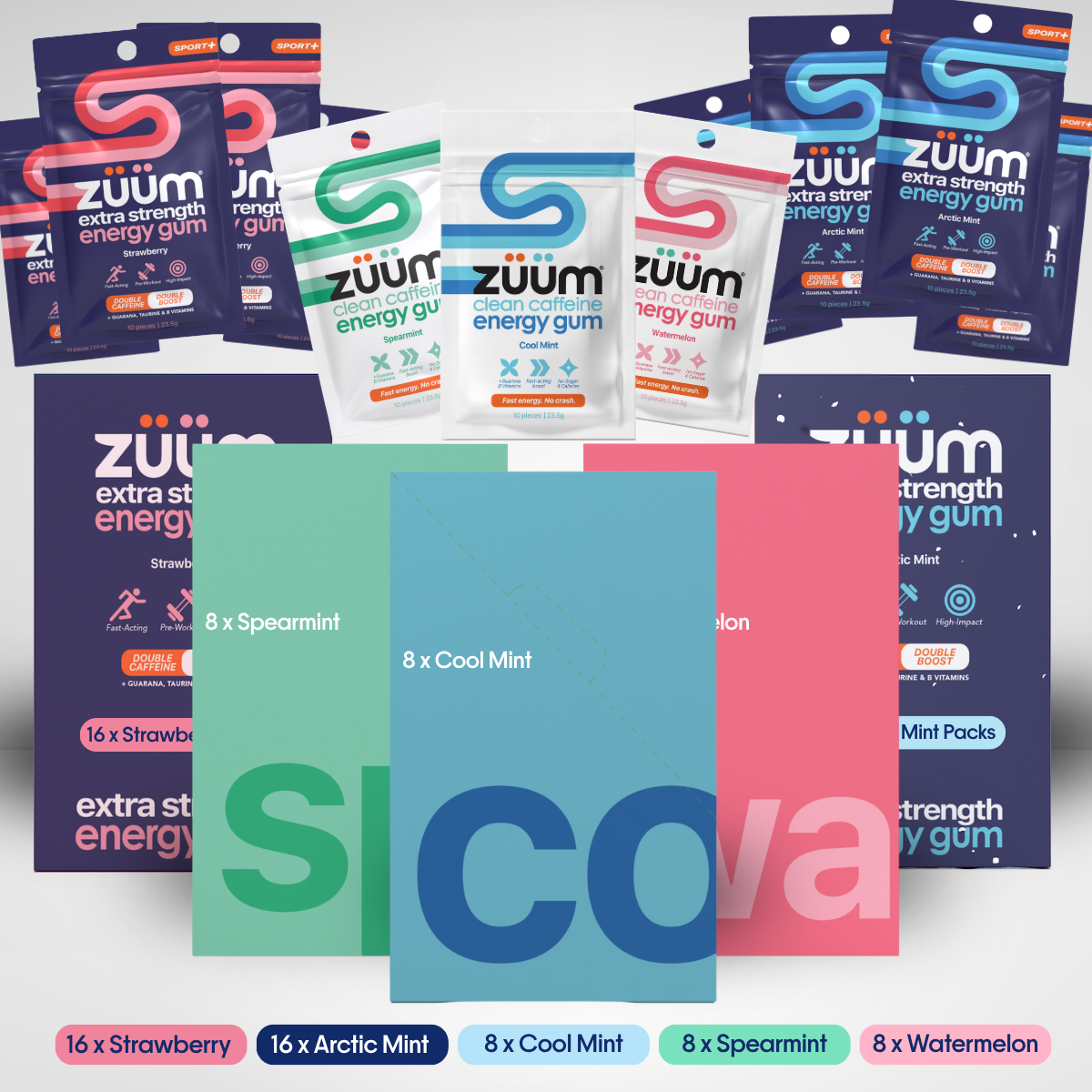 EVERYTHING BUNDLE